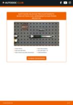 Cambio Calentadores diésel SKODA bricolaje - manual pdf en línea