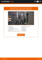 Ako vymeniť a regulovať Žeraviace sviečky SEAT ALTEA: sprievodca pdf