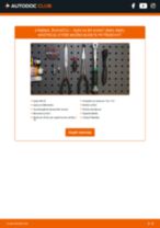 Ako vymeniť a regulovať Žeraviace sviečky AUDI A4: sprievodca pdf