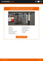 Skoda Octavia 2 Combi Flexrohr: PDF-Anleitung zur Erneuerung