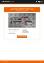 VW SPACEFOX / SPACE CROSS (5Z6, 5Z7) manual PDF