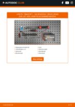 DIY-manual för byte av Tändstift i VW SPACEFOX