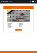 Bytte Tennplugger OPEL CORSA C Box (F08, W5L): handleiding pdf