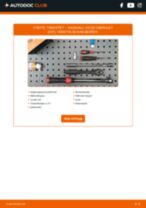 DIY-manual för byte av Tändstift i VAUXHALL VX220