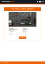 Steg-för-steg-guide i PDF om att byta Tändstift i VAUXHALL COMBO Mk II (C) Box Body / Estate (F25)