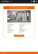 PDF manuale sulla manutenzione XC90 I (275) D3 / D5