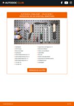VOLVO XC90 I Domlager: Schrittweises Handbuch im PDF-Format zum Wechsel