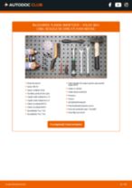 PDF manual pentru întreținere S60