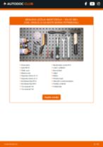 Kako zamenjati in prilagoditi Blažilnik / uležajenje amortizerja VOLVO S80: vodnik pdf