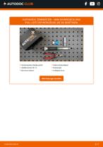 Schritt-für-Schritt-Anleitung im PDF-Format zum Gummistreifen, Abgasanlage-Wechsel am Mini Paceman R61
