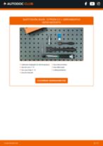 Cambio Faro LED y Xenon CHRYSLER bricolaje - manual pdf en línea