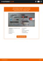 Stap-voor-stap PDF-handleidingen over het veranderen van FIAT DUCATO Box (230L) Bougies