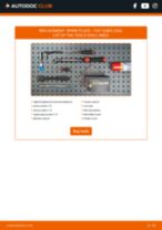 QUBO (225) 1.3 D Multijet (225AXG1A, 225CXG1A, 225AXG11, 225CXG11) workshop manual online