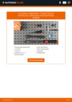 Werkstatthandbuch für EXPERT Kasten (222) 2.0 online