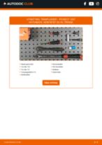 DIY-manual for utskifting av Tennplugger i PEUGEOT 1007 2023