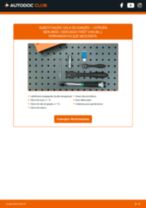 Instruções gratuitas em PDF para a manutenção de CITROËN BERLINGO Box (M_) por conta própria
