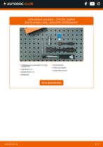 Stap-voor-stap PDF-handleidingen over het veranderen van CITROËN JUMPER Box (230L) Bougies