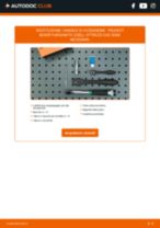 PEUGEOT BOXER Box (230L) Candela Di Accensione sostituzione: tutorial PDF passo-passo