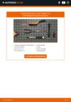 Cambio Bujía iridium y platino FIAT bricolaje - manual pdf en línea