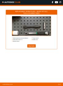How to carry out replacement: Spark Plug 2.0 TDI 4x4 Skoda Yeti 5L