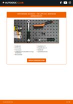 NGK 6418 voor Lupo (6X1, 6E1) | PDF handleiding voor vervanging