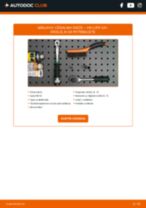DENSO IT01 za Lupo (6X1, 6E1) | PDF vodič za zamenjavo