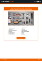 LEXUS Kinnitus, stabilisaatoripaigutus vahetamine DIY - online käsiraamatute pdf