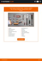 Käsiraamat PDF Meriva Mk I (A) (X03) 1.3 CDTI hoolduse kohta