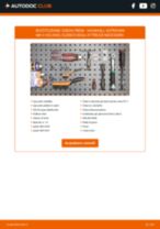 Cambio Bilancieri motore VAUXHALL da soli - manuale online pdf