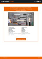 Meriva Mk2 (B) (S10) 2018 manual PDF