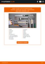 VAUXHALL Zafira Mk2 (B) (A05) 2010 javítási és kezelési útmutató pdf