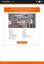 Werkstatthandbuch für Astra Mk V (H) Kombi (A04) 2.0 Turbo (L35) online