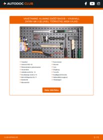 Kuidas välja vahetamist läbi viia: Zafira B A05 1.8 Õõtshoob