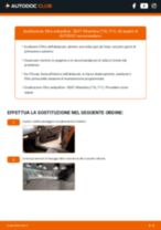 Sostituzione di Filtro Olio su SEAT Alhambra 7N 2.0 TDI: la guida professionale