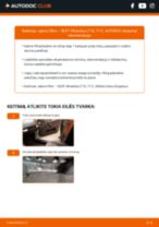 Montavimo Salono oro filtras SEAT ALHAMBRA (710, 711) - žingsnis po žingsnio instrukcijos