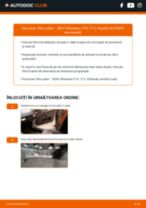 SEAT Alhambra II (710, 711) 2020 carte tehnica de reparație și întreținere
