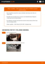Steg-för-steg-guide i PDF om att byta Glödstift i 133 Hatchback