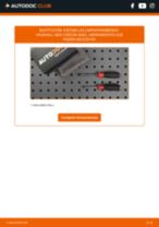 Cambio de Escobillas de limpiaparabrisas MIDI 1995 - tutorial paso a paso en PDF