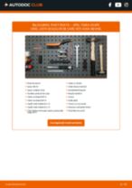 Manual de atelier pentru Tigra Coupe (S93) 1.4 16V (F07)