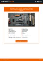 PDF manual pentru întreținere Tigra Mk I Coupe (S93) 1.6 16V