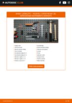 Ārējā slēdzene maiņa Corsa E X15: ceļvedis pdf