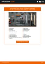 Manualul online pentru schimbarea Pivot bascula la Zafira B A05
