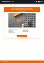 Cambio Lampadina faro LED e Xenon VAUXHALL da soli - manuale online pdf