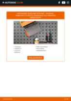 DIY-handleiding voor het vervangen van Gloeilamp Koplamp in VAUXHALL COMBO