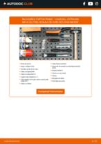 PDF manual pentru întreținere Astravan Mk IV (G) (T98) 1.7 DTI 16V