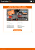 Werkstatthandbuch für Sintra MPV 3.0 i 24V online