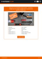 Vodič PDF po korakih za menjavo VAUXHALL COMBO Mk II (C) Box Body / Estate (F25) Olje menjalnika