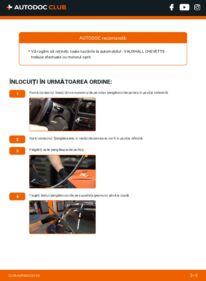 Cum să efectuați înlocuirea: Lamela stergator Chevette Sedan 1.3