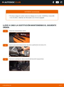 Cómo cambiar Escobillas de Limpiaparabrisas Vectra C GTS
