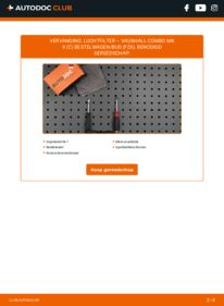 Vervangen: Luchtfilter 1.3 CDTI 16V VAUXHALL COMBO Mk II (C) Box Body / Estate (F25)
